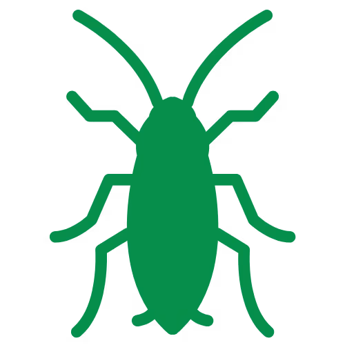 Roach Icon