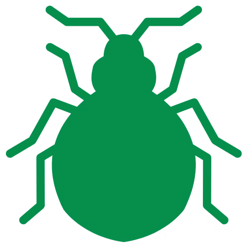 Bed Bug Icon