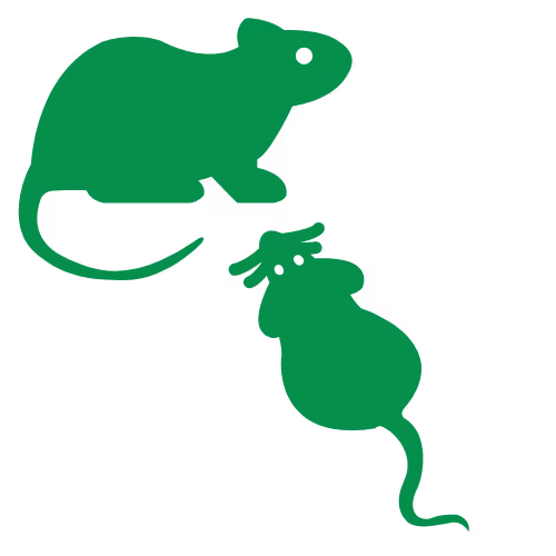 Rodent Icon