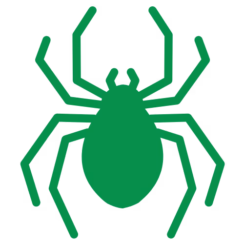 Spider Icon