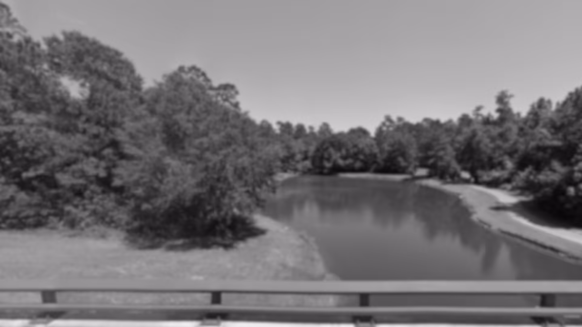 Reviews Background