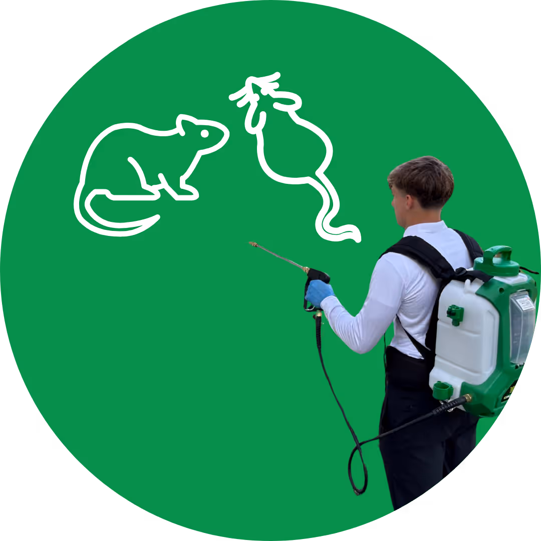 Rodent Control Tech In The Woodlands
