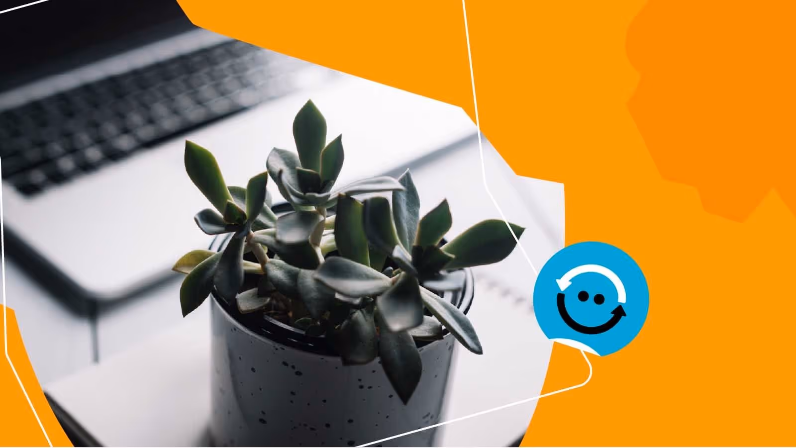 Relatório de Sustentabilidade: guia completo para empresas e consumidores