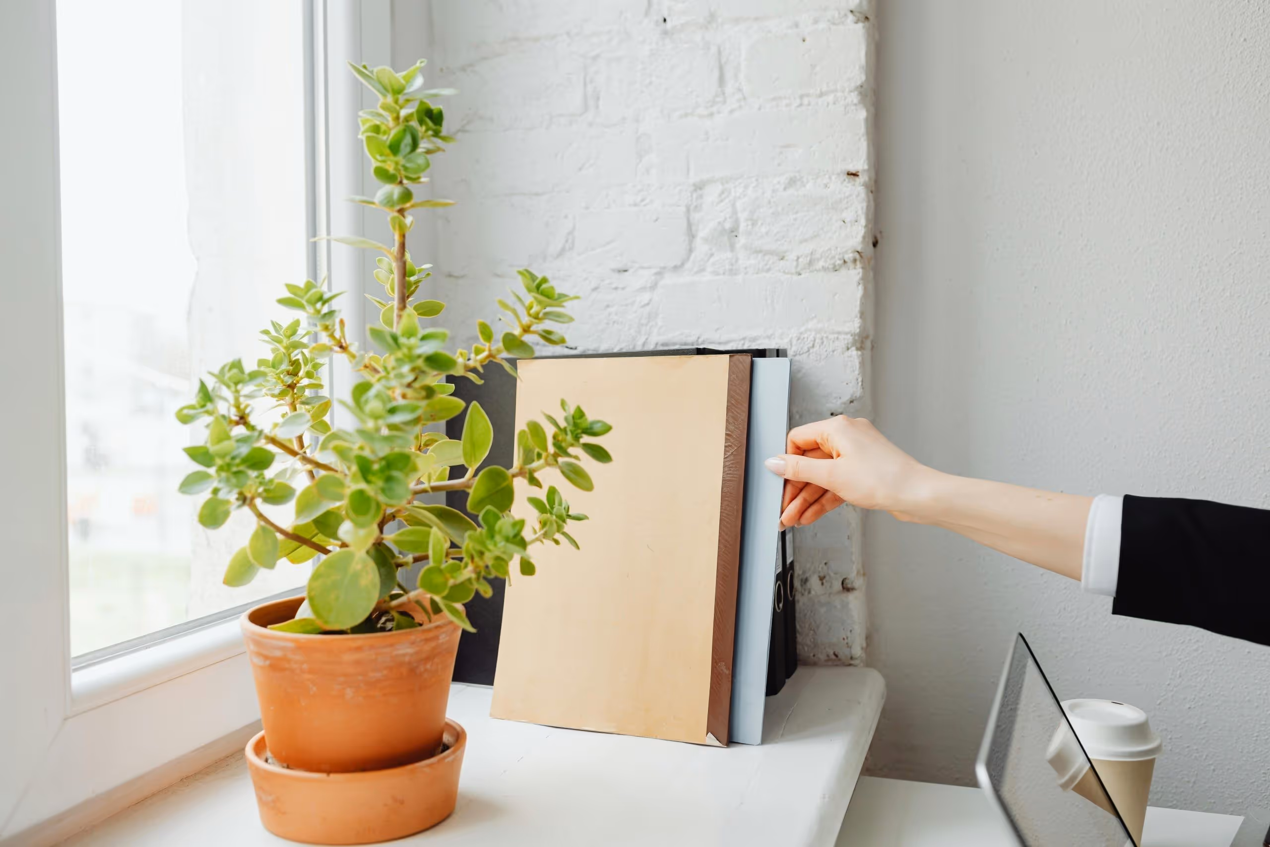 Indicadores ESG: entenda o que são, como funcionam e por que sua empresa deve acompanhar