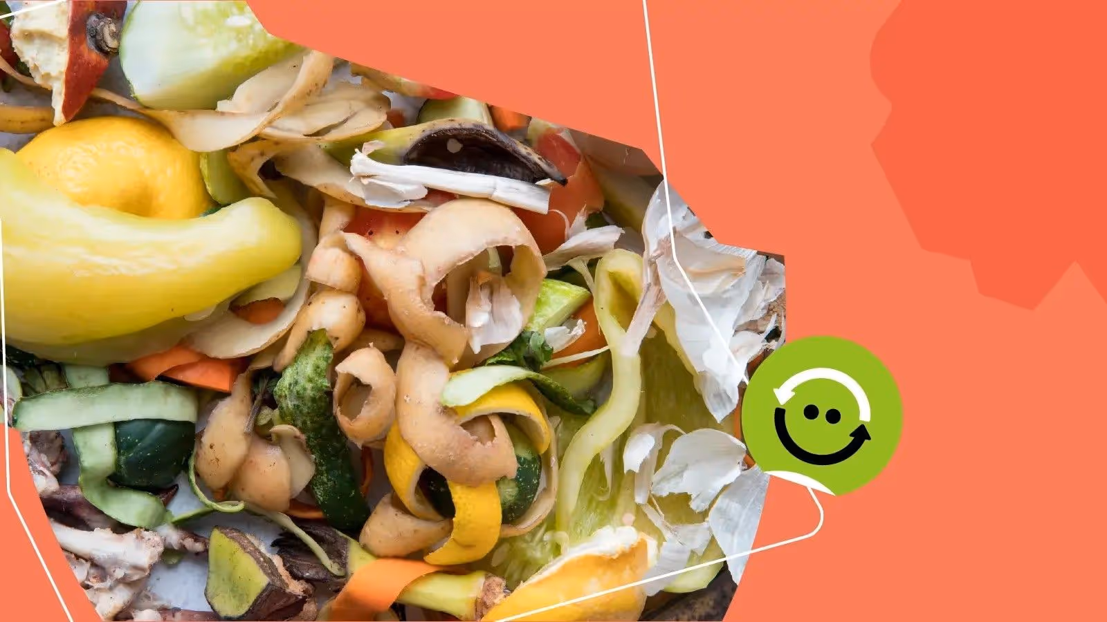 O que é lixo orgânico? Exemplos e formas de descarte