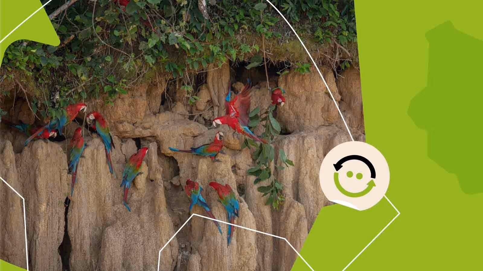 COP 30 no Brasil: o que esperar da conferência?