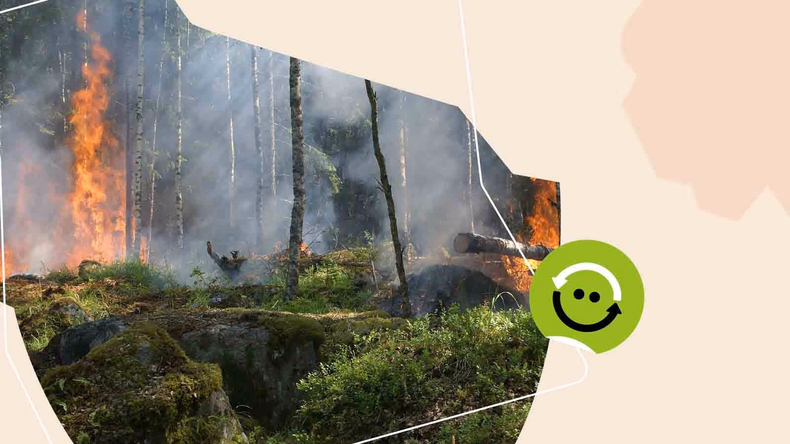 Mudanças Climáticas: causas, consequências e eventos extremos