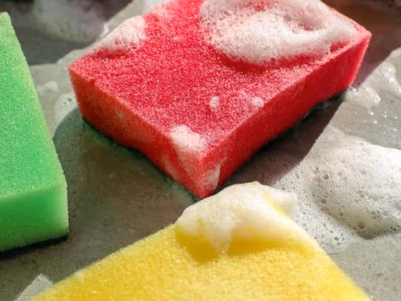 Como descartar esponja de cozinha de forma sustentável