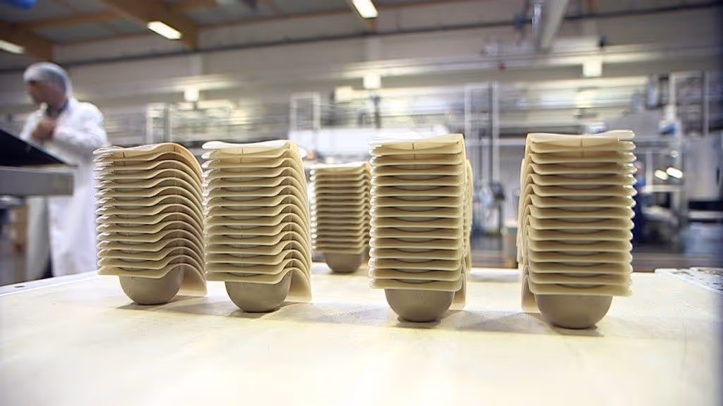 Tudo que você precisa saber sobre embalagens a base de algas marinhas