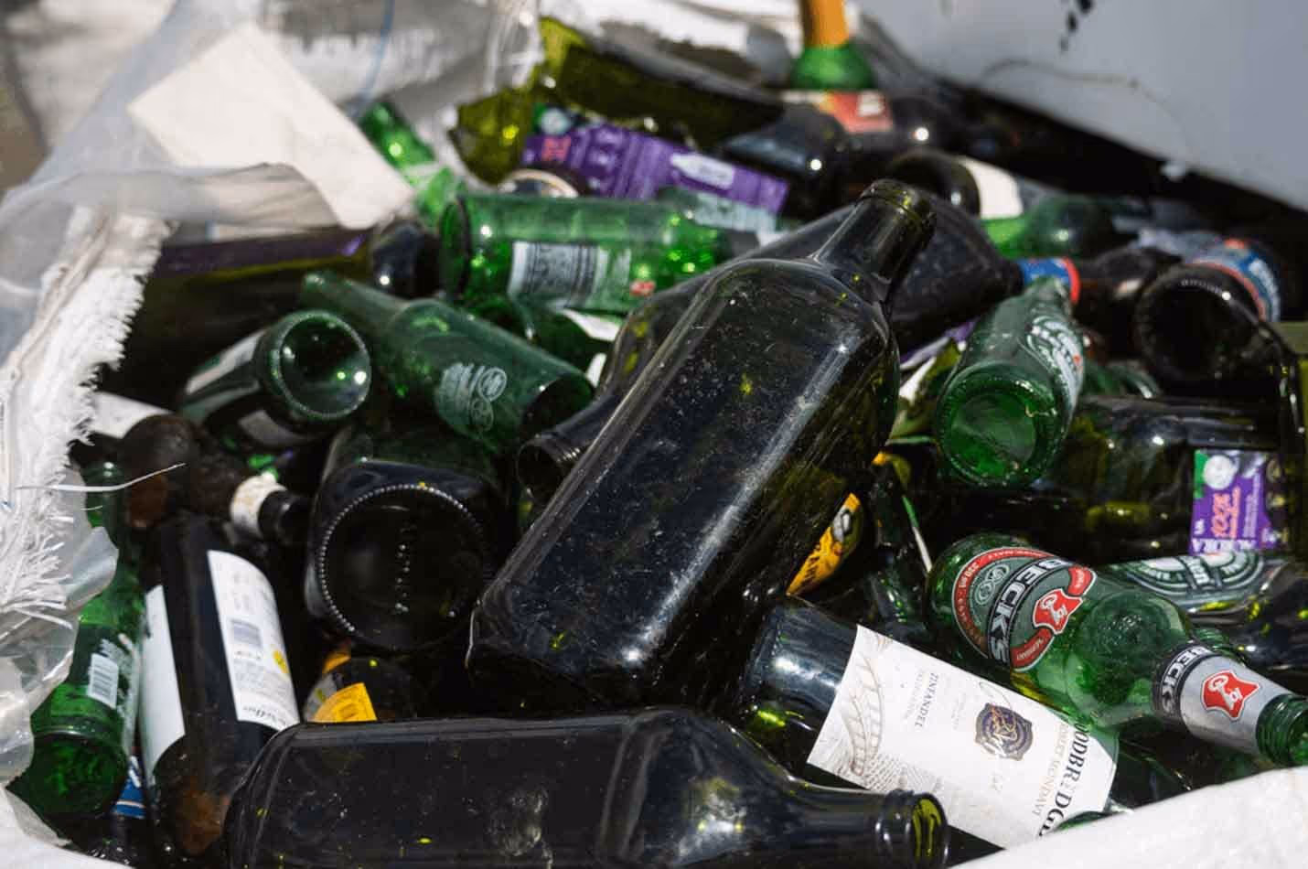 Em Bonito, no sul do Pantanal, vidro se transforma em impacto positivo