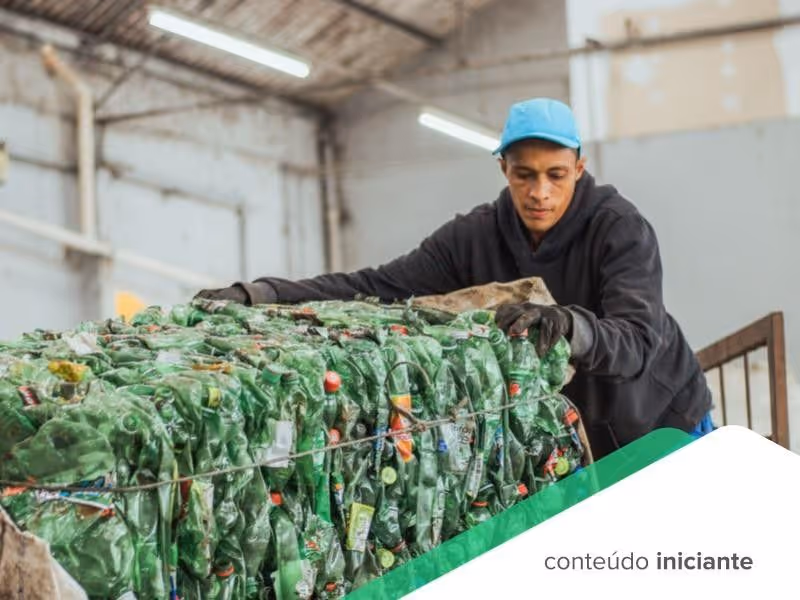 Entenda a diferença entre Bisfenol A e Bisfenol S