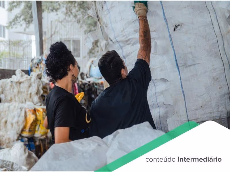 Tudo que você precisa saber sobre a Normativa 249/2024 de logística reversa em Minas Gerais