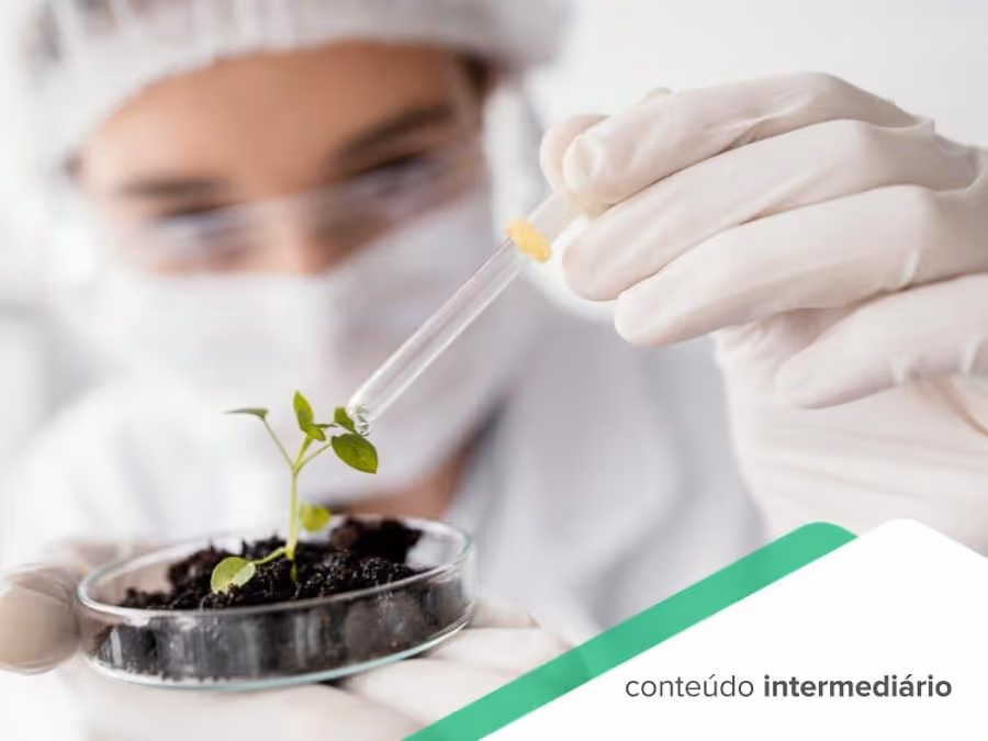 Sustentabilidade na Indústria Farmacêutica: o impacto da logística reversa
