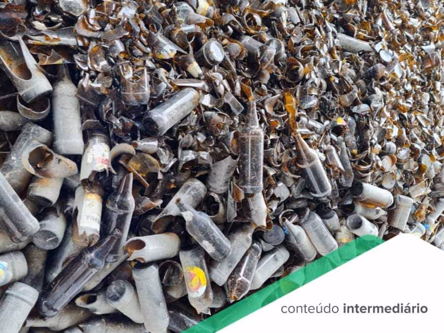 O papel da eureciclo na reciclagem de vidro no Amazonas