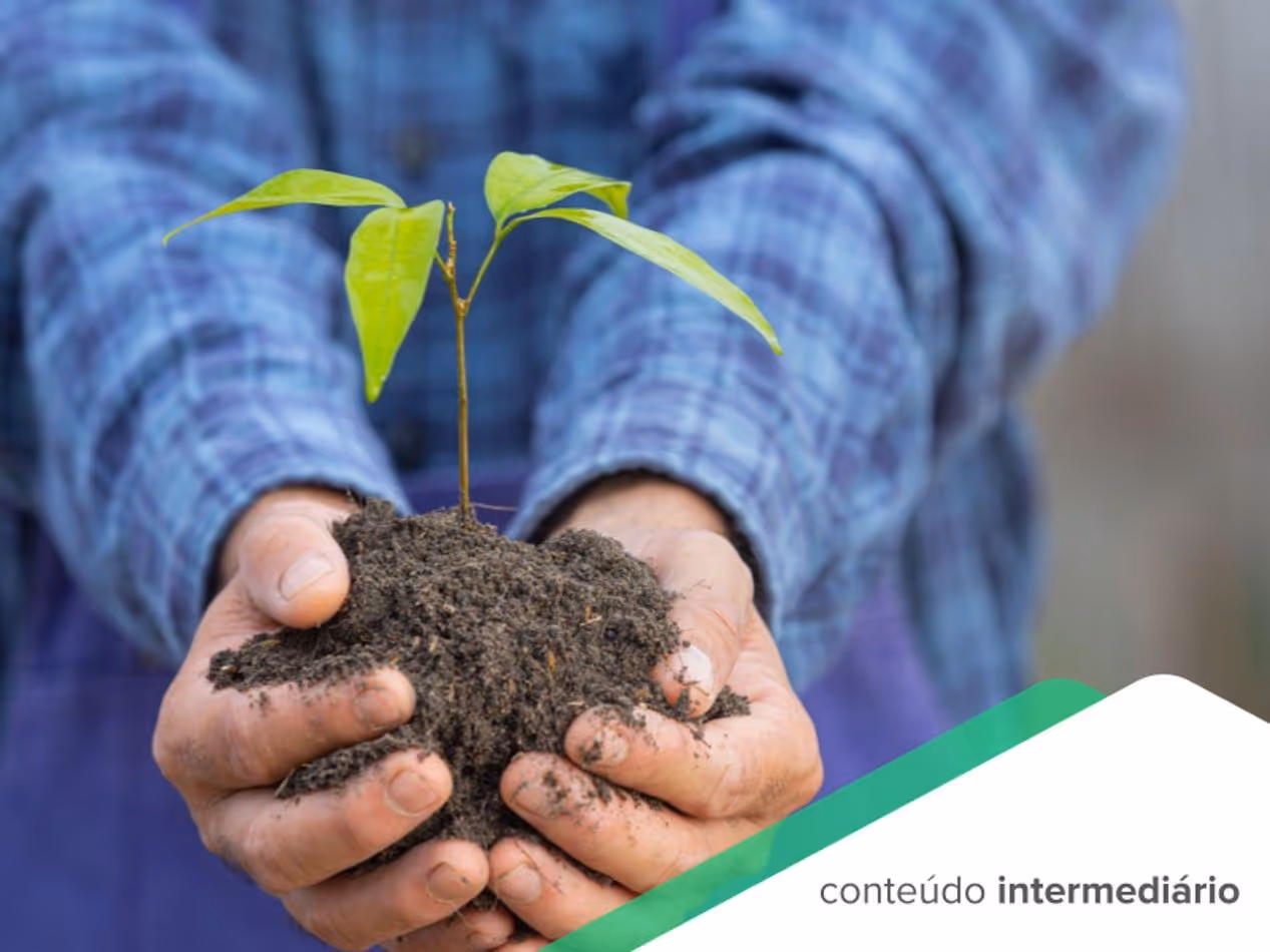 Semana do Meio Ambiente: 6 inovações e práticas sustentáveis para sua empresa adotar em 2023