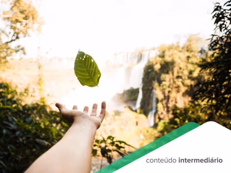 Como os Certificados de Crédito de Reciclagem agregam para minhas iniciativas sustentáveis