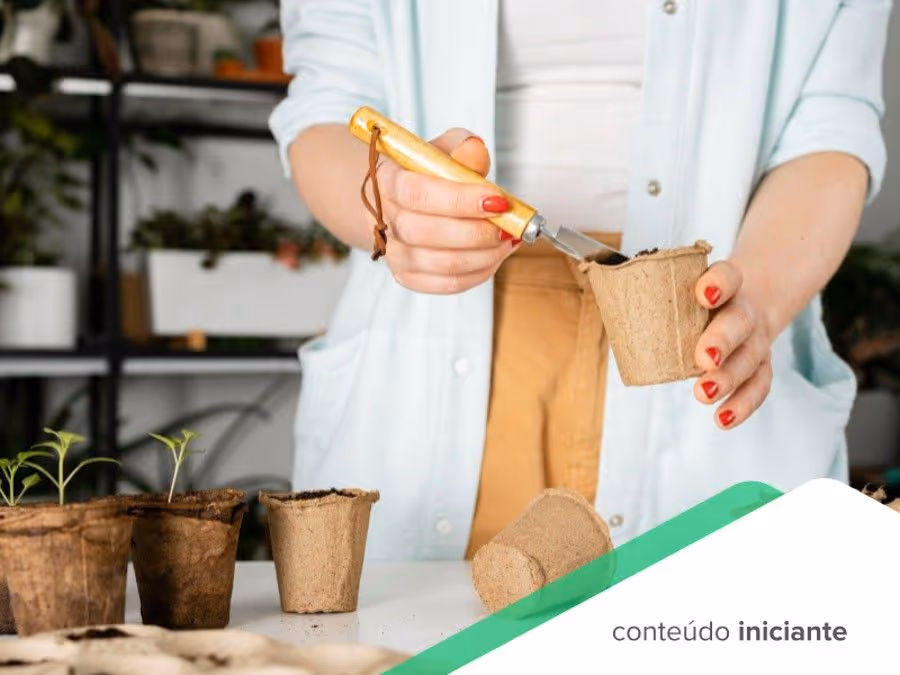 Ecodesign: A nova era da embalagem sustentável