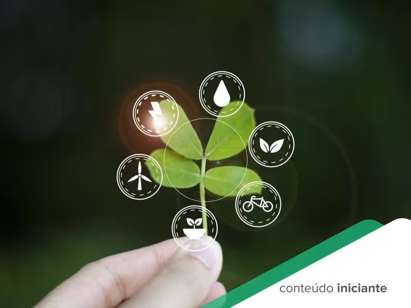 Selos verdes: como eles podem ajudar sua empresa a se destacar no mercado