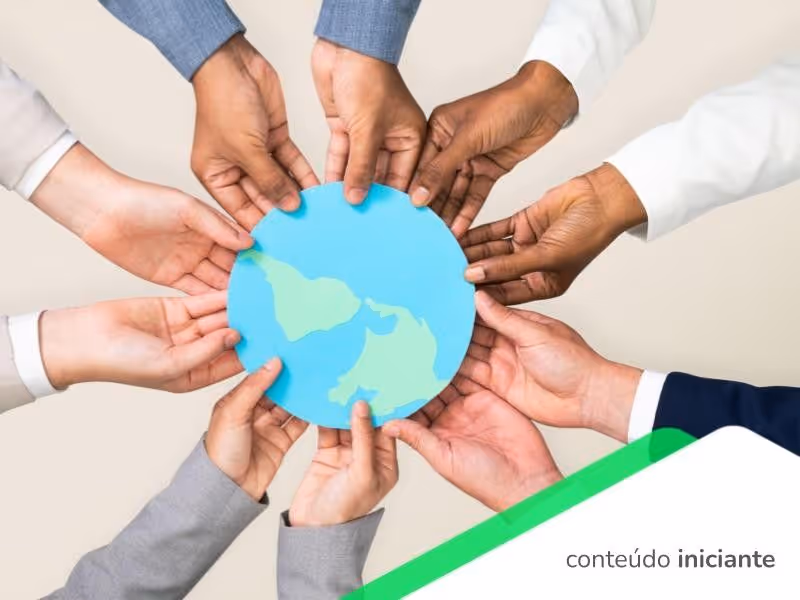 Sustentabilidade empresarial: o que é e porque investir