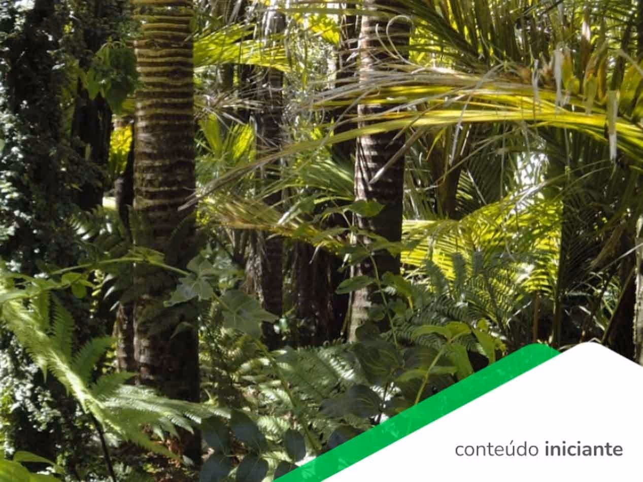 Legislação Ambiental: o que é e como cumprir