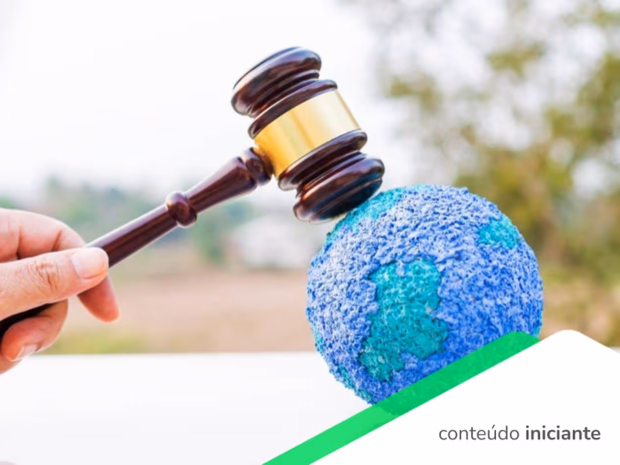 Leis Ambientais no Brasil em 2025: quais são e como cumprir?