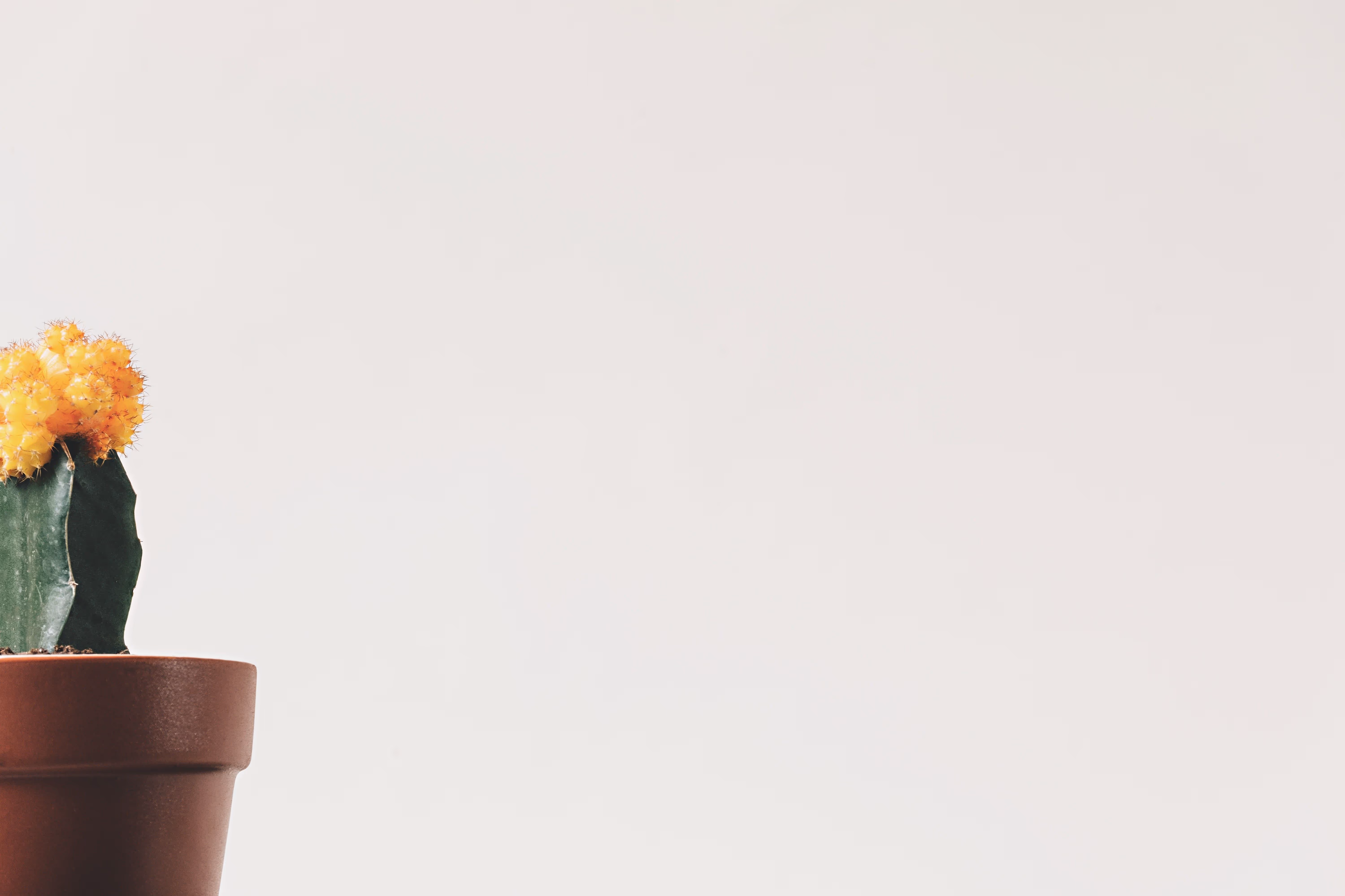 Moda sustentável: conheça a Parece Que Não Reza