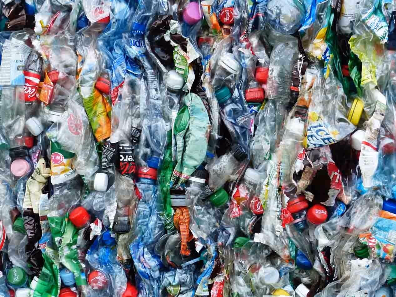 Cooperativa de reciclagem: Conheça a realidade e como funciona