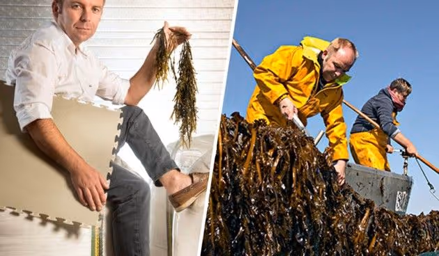 Embalagens do Futuro (2/6): O give-back para o oceano