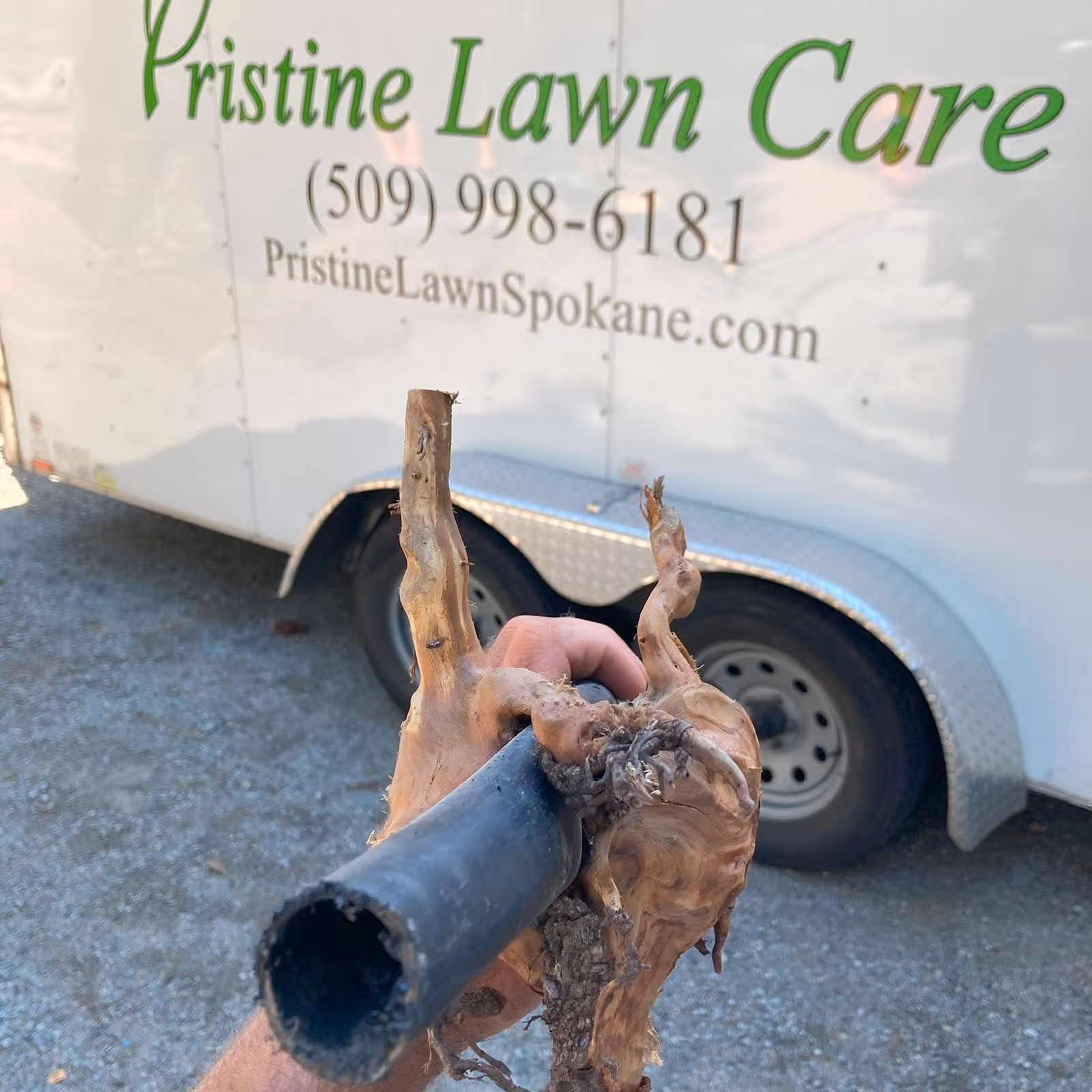 Winter blowout service by Pristine Lawn Care