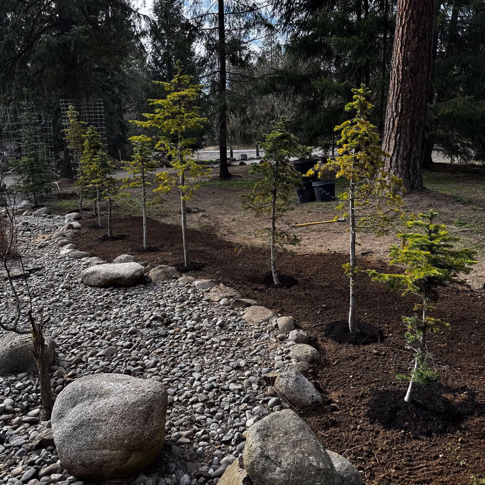 Native, water-wise landscape near me