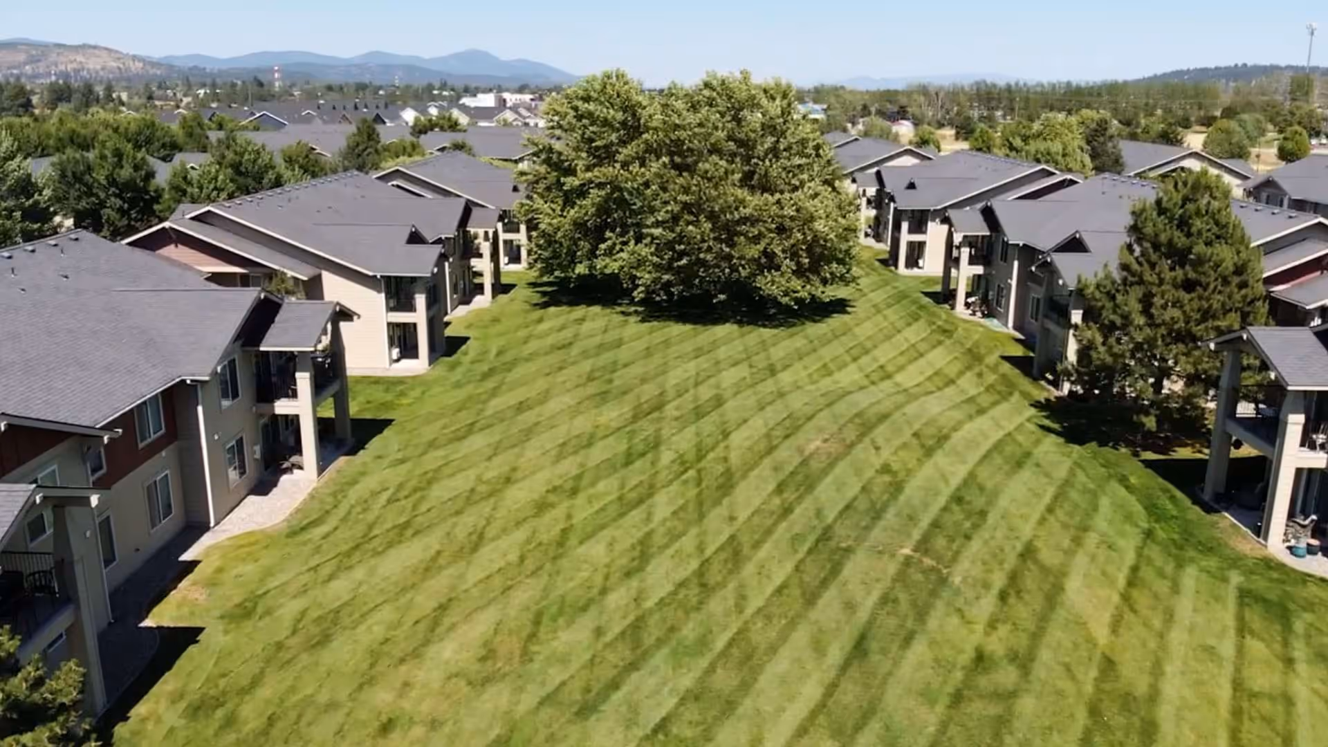 Pristine Lawn Care applying seasonal fertilizer