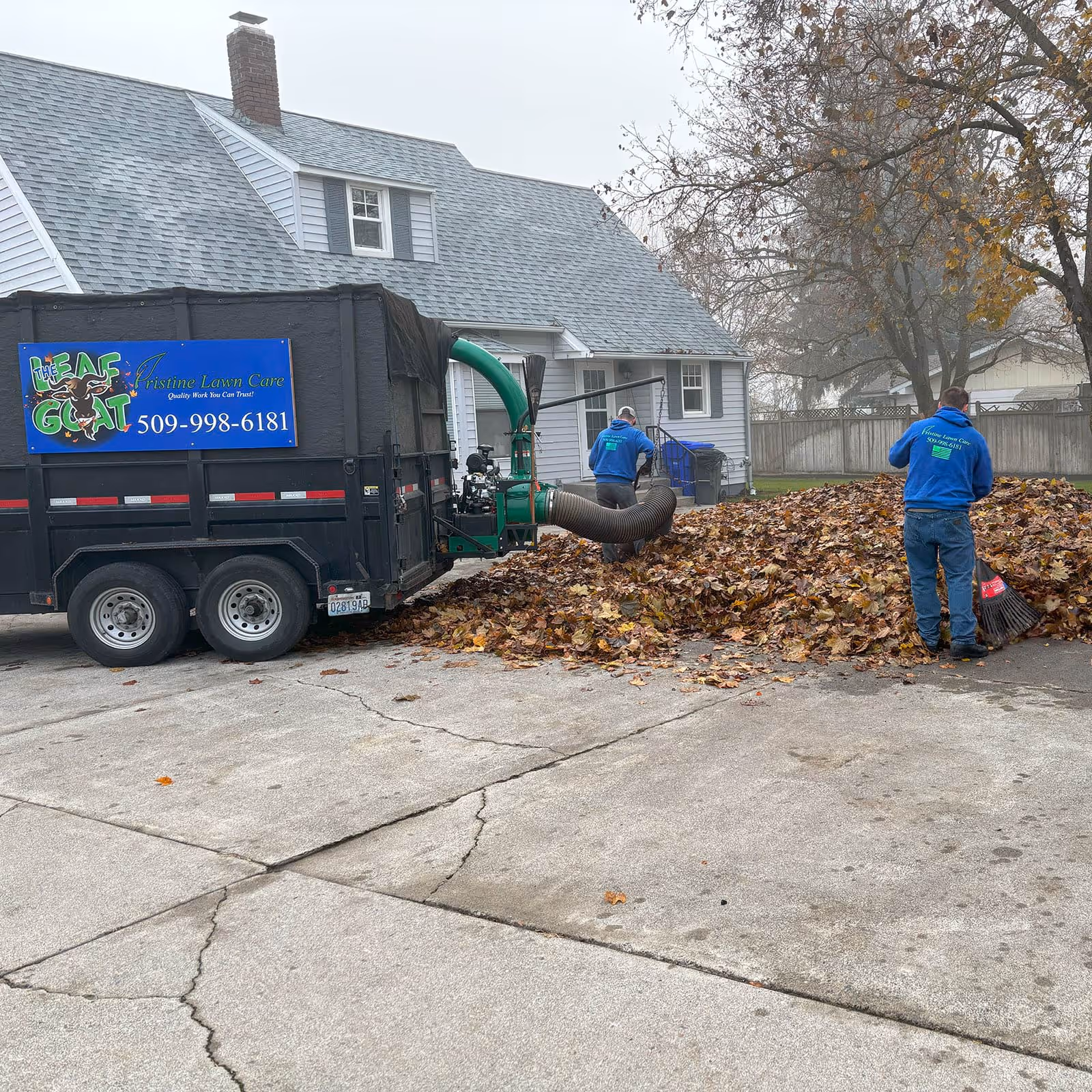 Pristine Lawn Care hauling leaves with Leaf Goat
