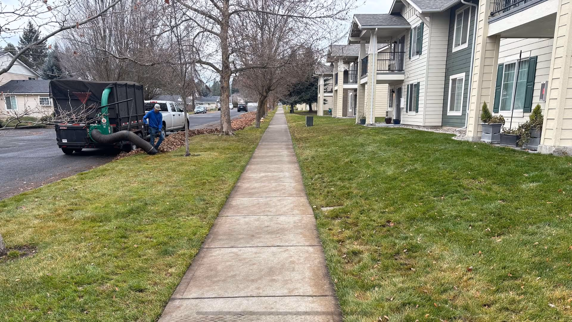 Storm debris cleanup on HOA sidewalks