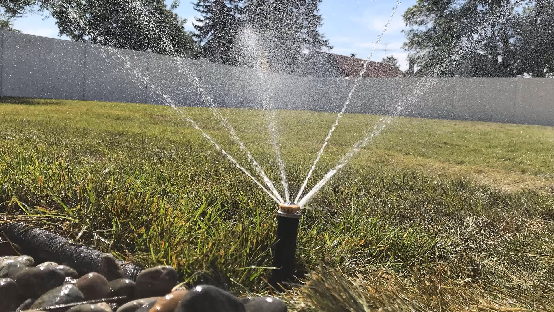 Sprinkler startup and calibration near me