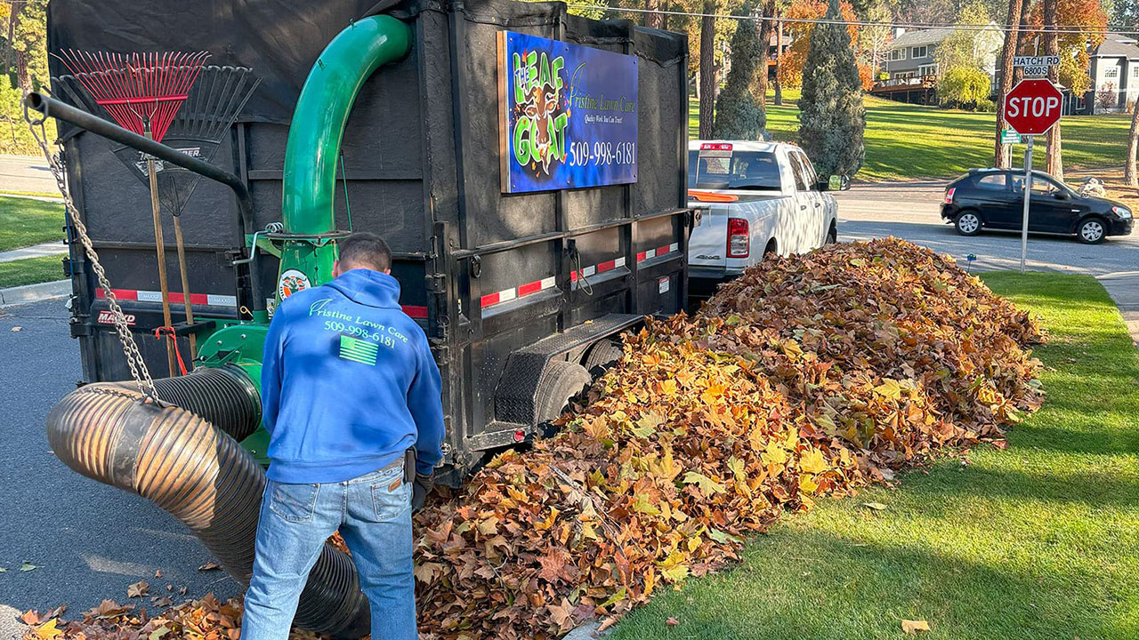 Fall cleanup near me with Leaf Goat debris loader
