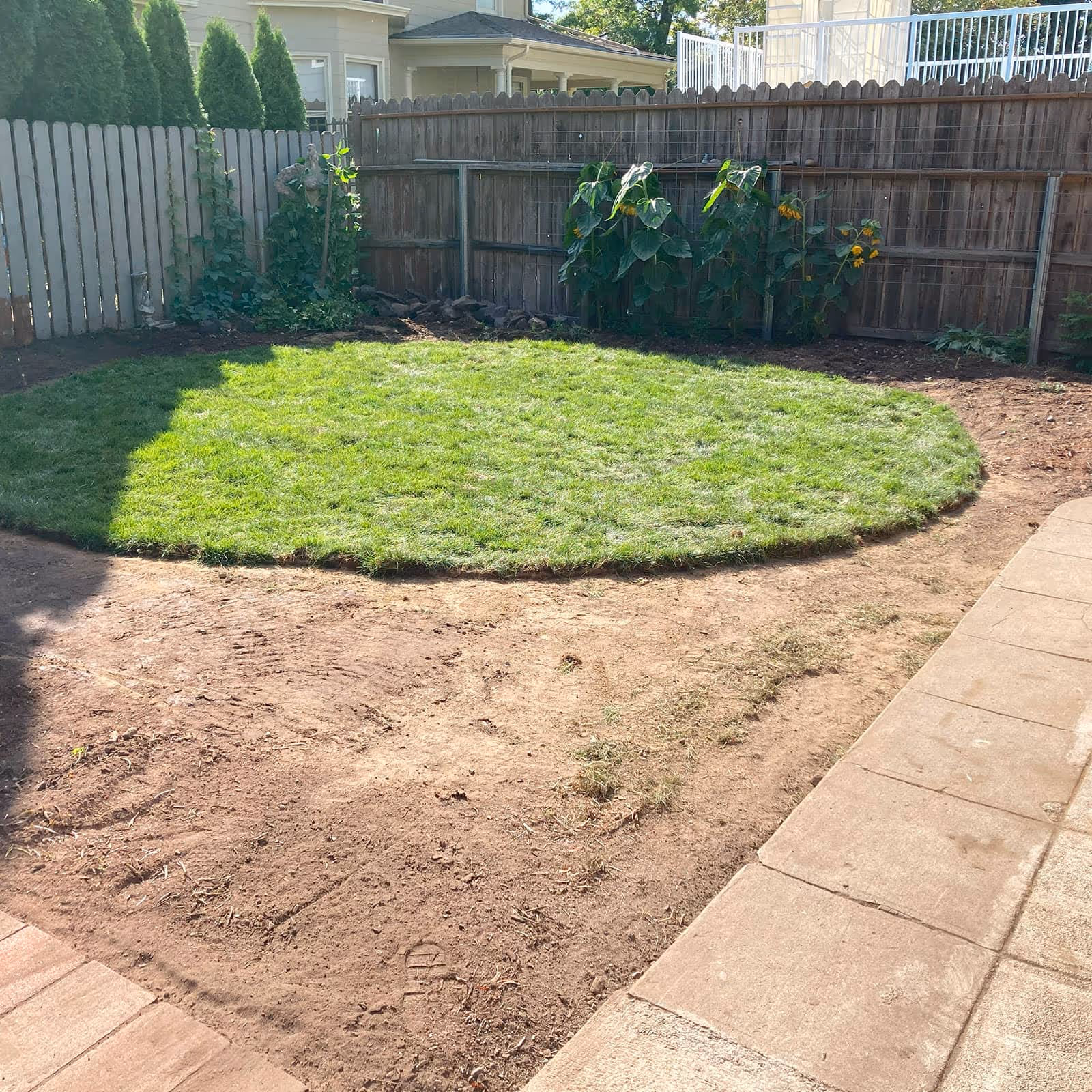Residential sod replacement near me