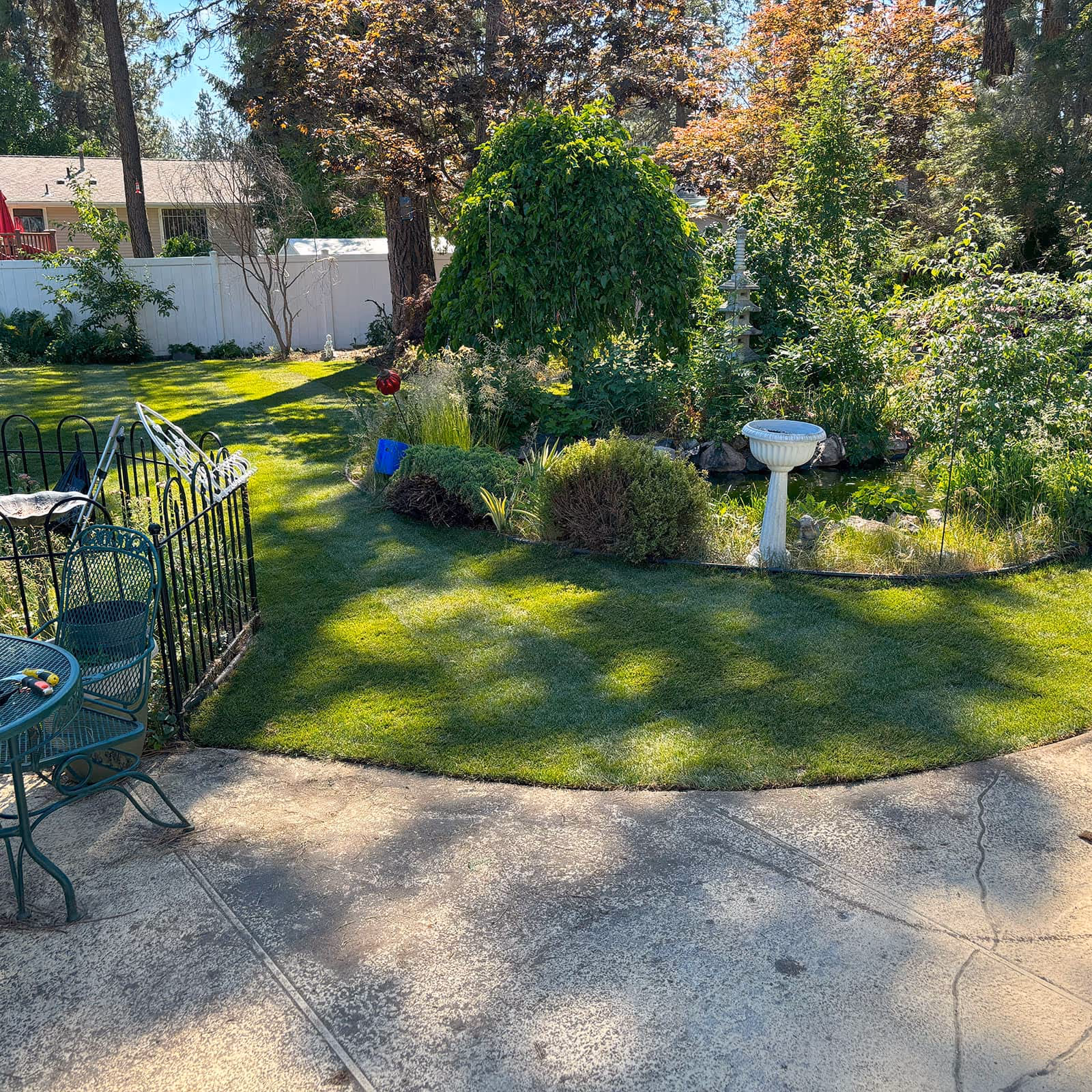Tree and shrub pruning by landscape specialists