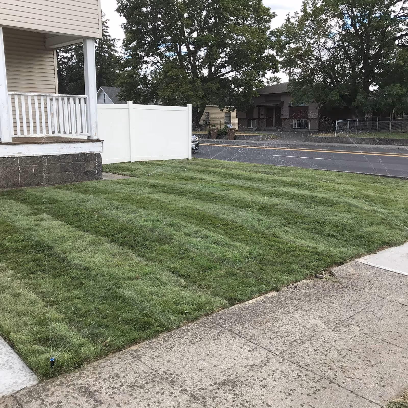 Clean mowing lines on a Spokane business property