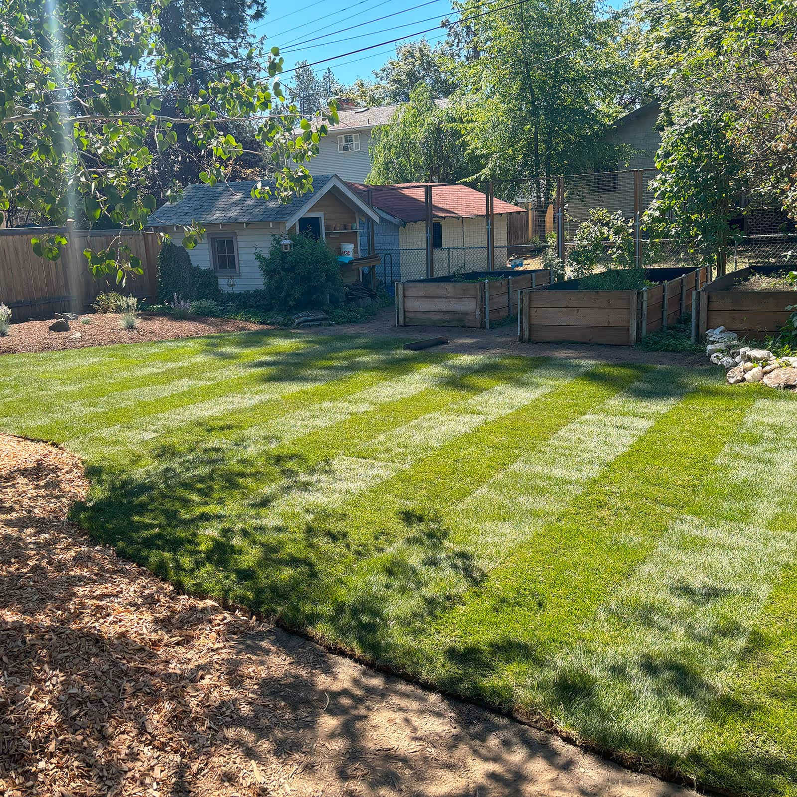 Sod installation for new Spokane backyard.
