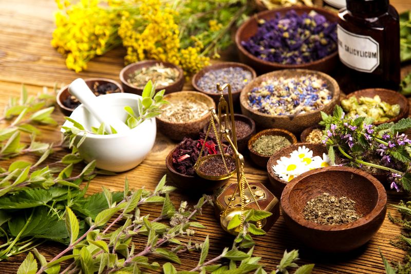 Botanical Medicine