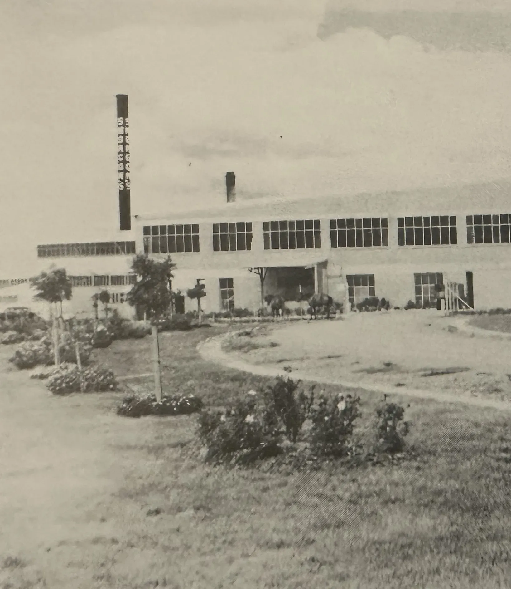 The Smorgon meat abattoir in Footscray