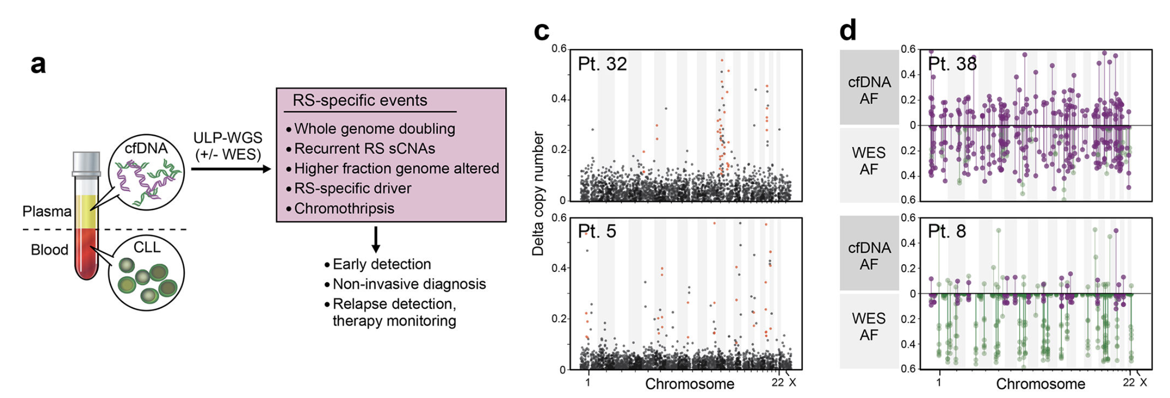 Cell free DNA for early response prediction