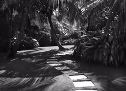 an exterior fit out of a grand villa in palm Jumeriah featuring walnut louvres