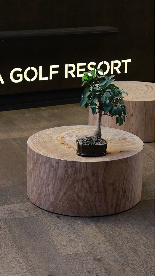 Realizace – timberiant.cz