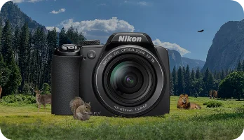 nikon