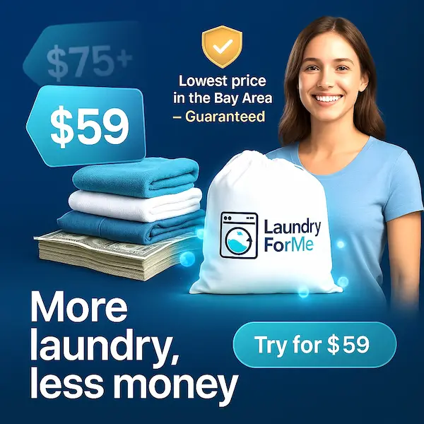 Laundry X - Home V3 Page - Laundry Webflow Template