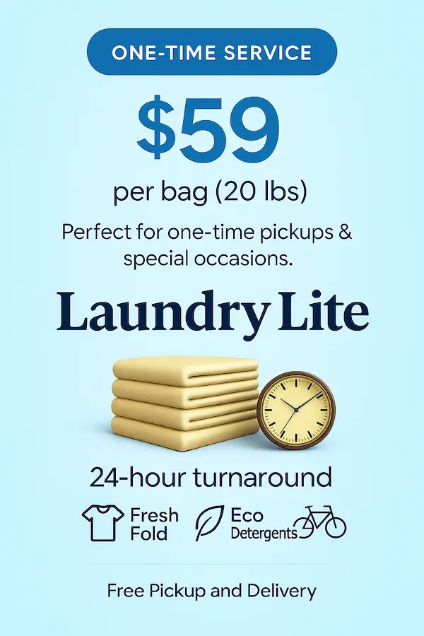 Icons And Graphics - Laundry X Webflow Template