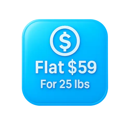 Typography - Laundry X Webflow Template