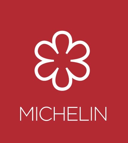 Michelin Icon