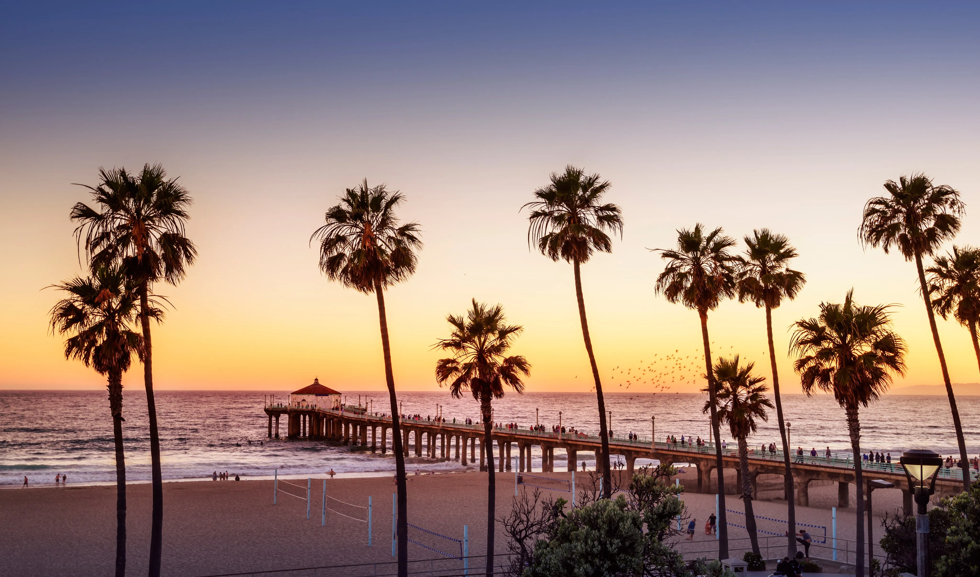 Palm trees line the beach as the sun sets.